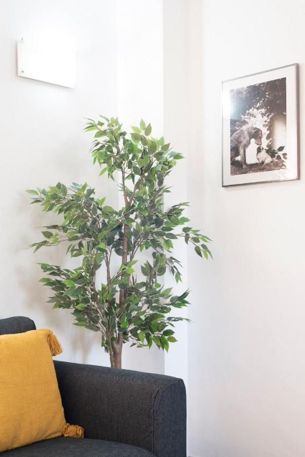 Amplio Apartamento En El Corazon De Sevilla ภายนอก รูปภาพ
